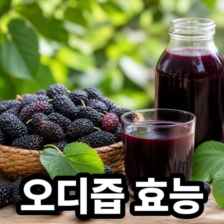  오디즙 효능, 건강 챙기는 달콤한 한 잔 