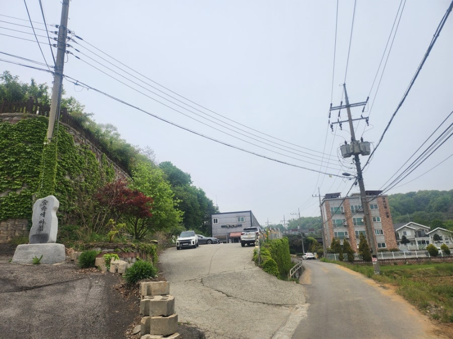 뜰안에 사진 1