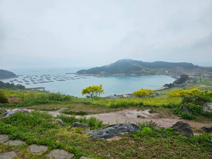 친정식구와 다녀온 <b>청산도</b> 여행