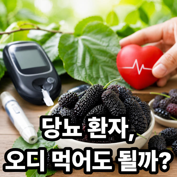  오디 혈당 관리에 도움 될까? 당뇨 환자 필독 가이드