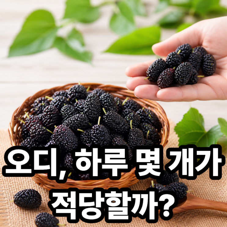  오디 하루 섭취량｜과하면 독? 적정 섭취 기준 완벽 정리