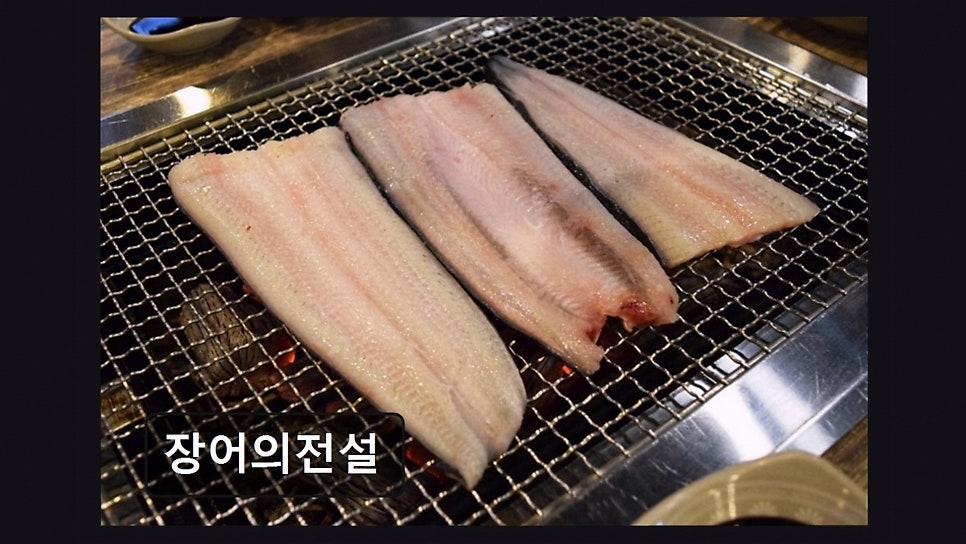장어의전설 사진 2