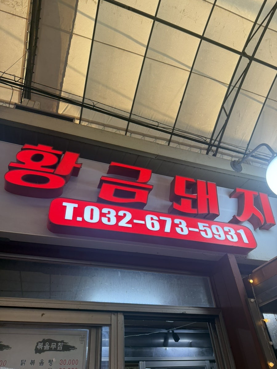 황금돼지 사진 1