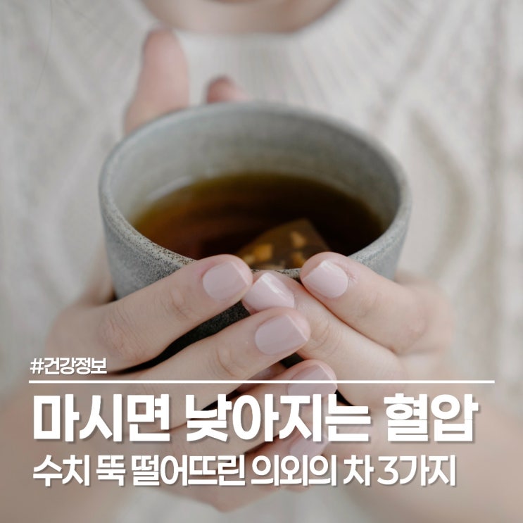  나만 몰랐던 혈압 낮추는 법, 혈압측정기 수치 뚝 떨어뜨린 의외의 차(茶) 3가지