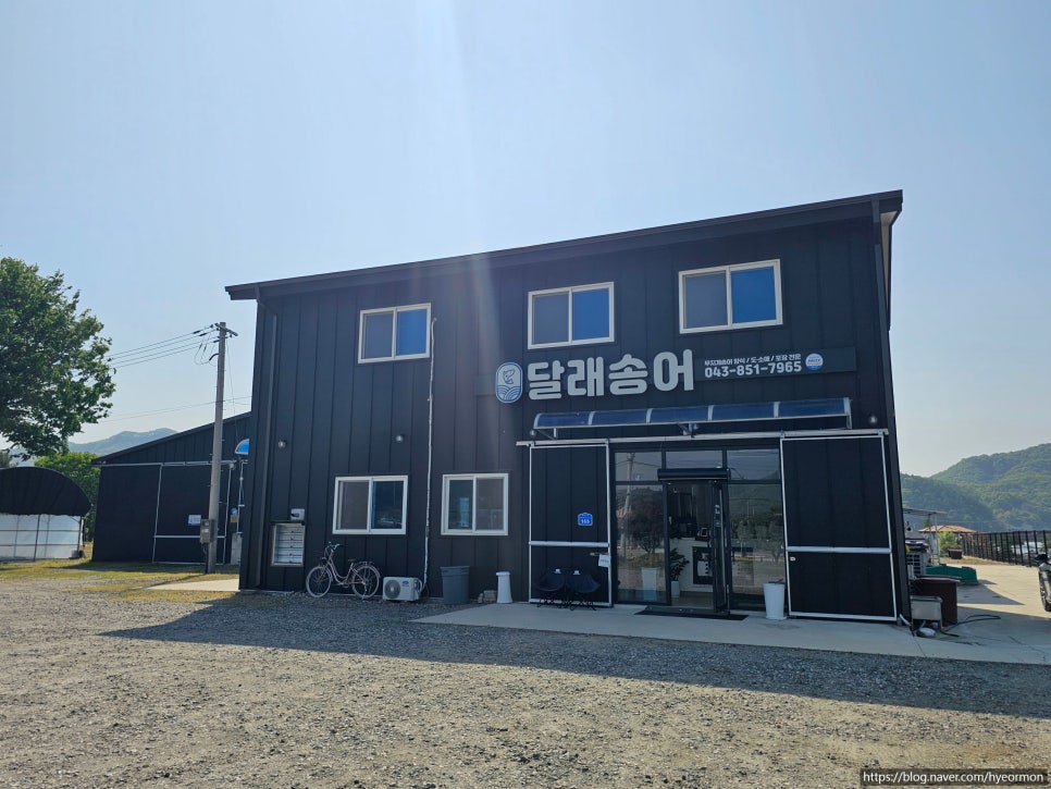 달래송어 사진 2
