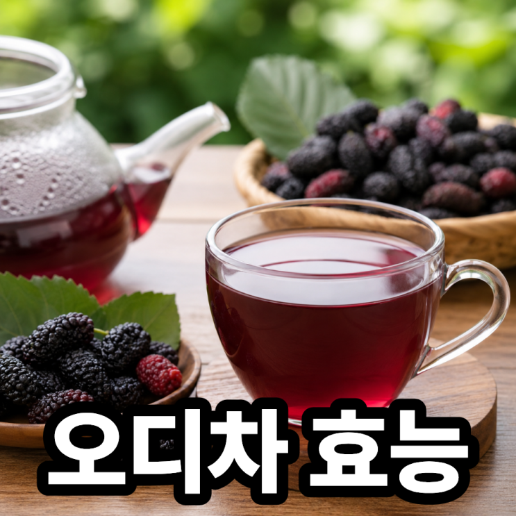  오디차 효능, 하루 한 잔으로 건강 챙기기 