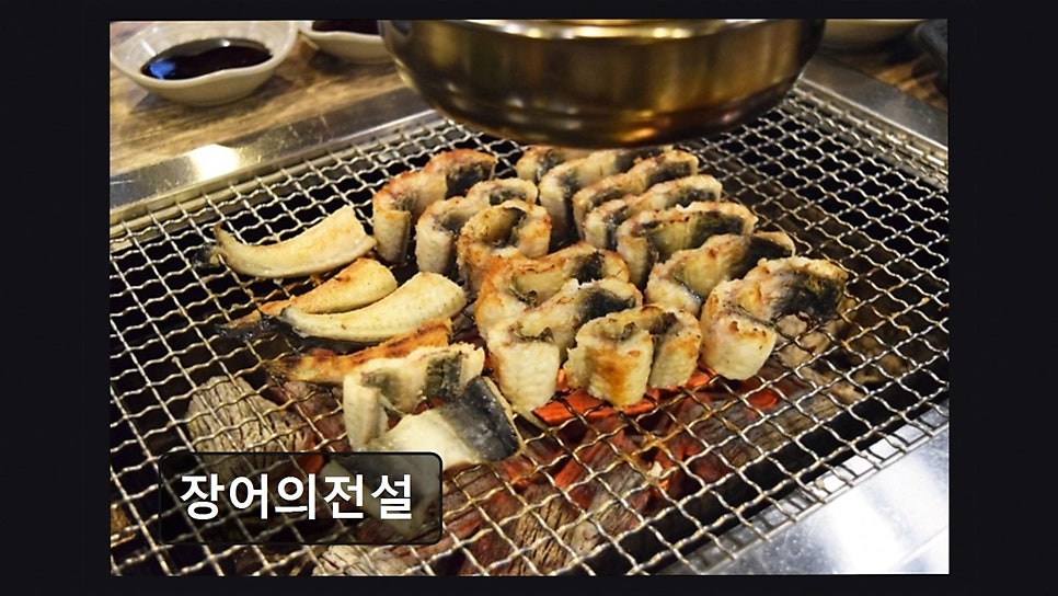 장어의전설 사진 3