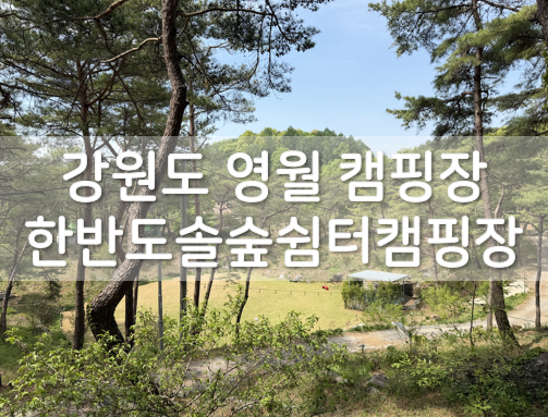 한반도솔숲쉼터 사진 1