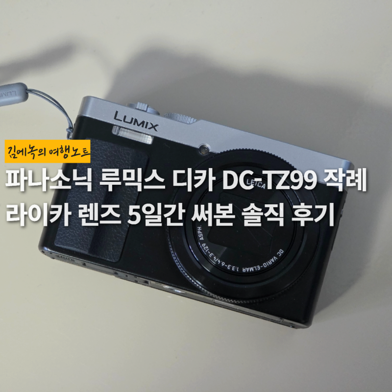 파나소닉 루믹스 디카 DC-TZ99 작례 | 라이카 렌즈 5일간 써본 솔직 후기