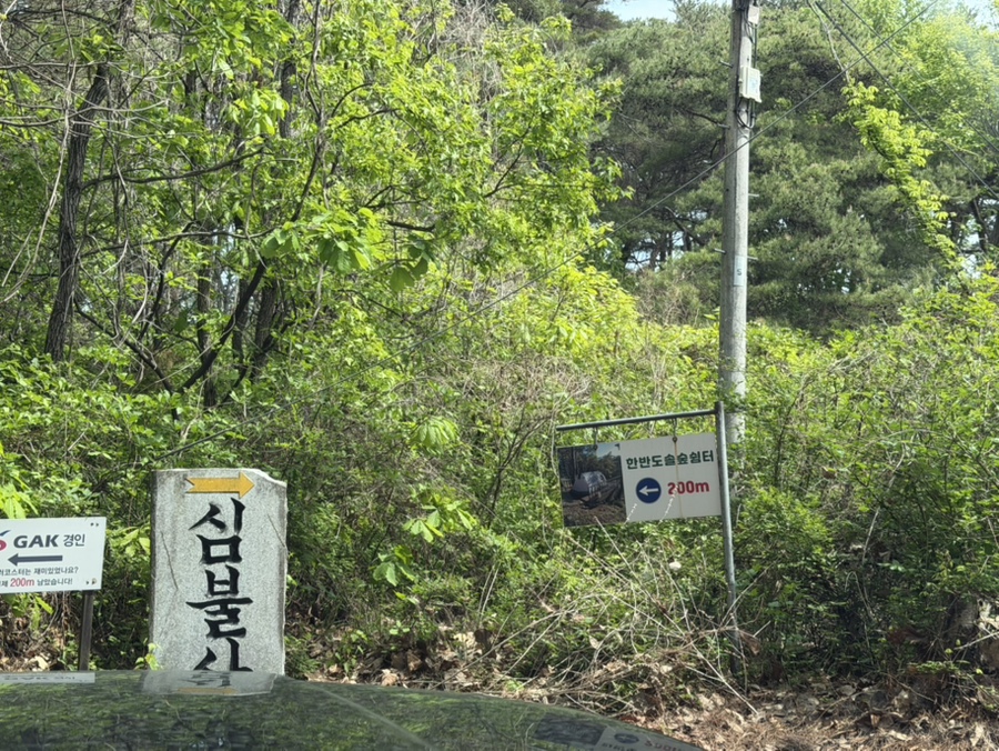 한반도솔숲쉼터 사진 2