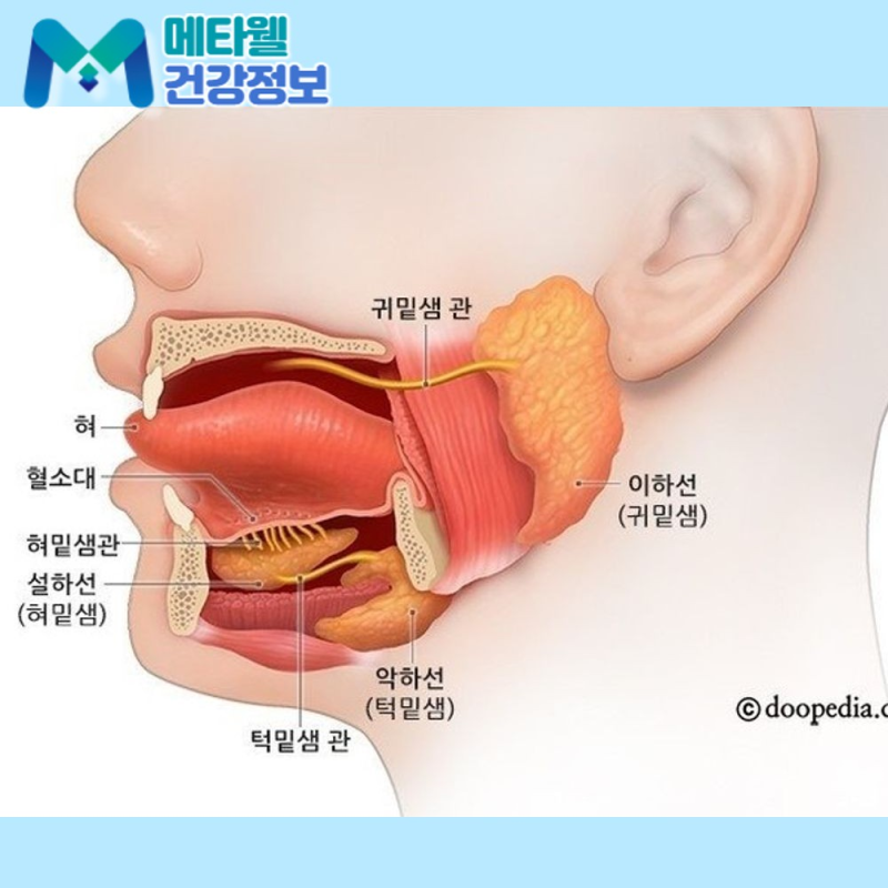 볼거리에 걸리면 어디가 부을까? 증상과 원인, 전염 경로 총점검