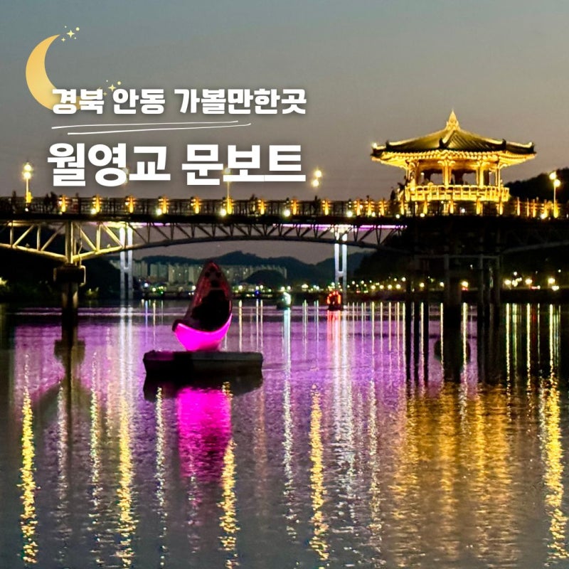 경북 안동 가볼만한곳 월영교 야경 문보트 시간 가격 후기