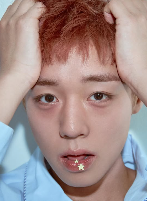 박지훈 프로필 나이 학력 고향 재산 작품 군대 해병대 사건사고