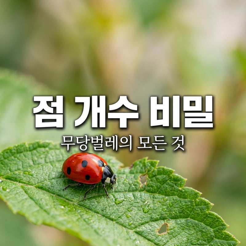 무당벌레 점 개수는 태어날 때 정해질까? 종류별 특징과 반전 진실