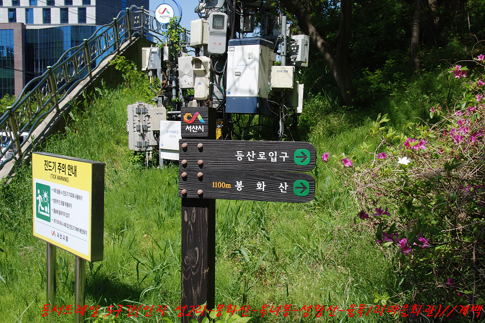 성왕산 사진 6