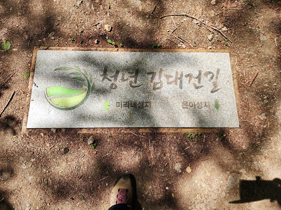 은이로211 사진 6