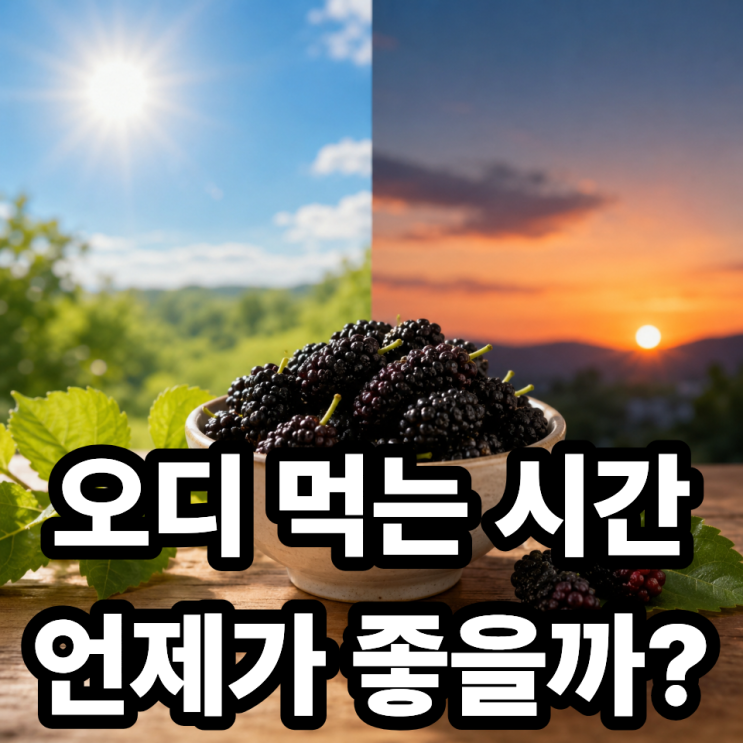  오디 먹는 시간  언제 먹어야 가장 효과 좋을까?