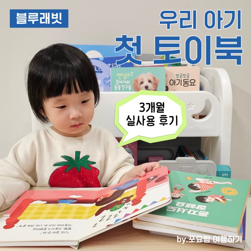 블루래빗 토이북 3개월 실사용 후기 : 두돌아기 가성비 전집 추천