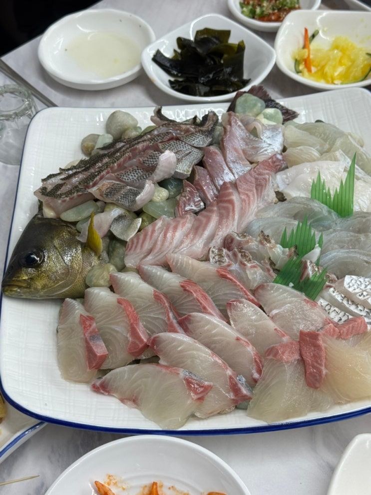  부산 대신동회맛집 벤자리회 모듬회 활어회집 극추천!!옹녀갈치