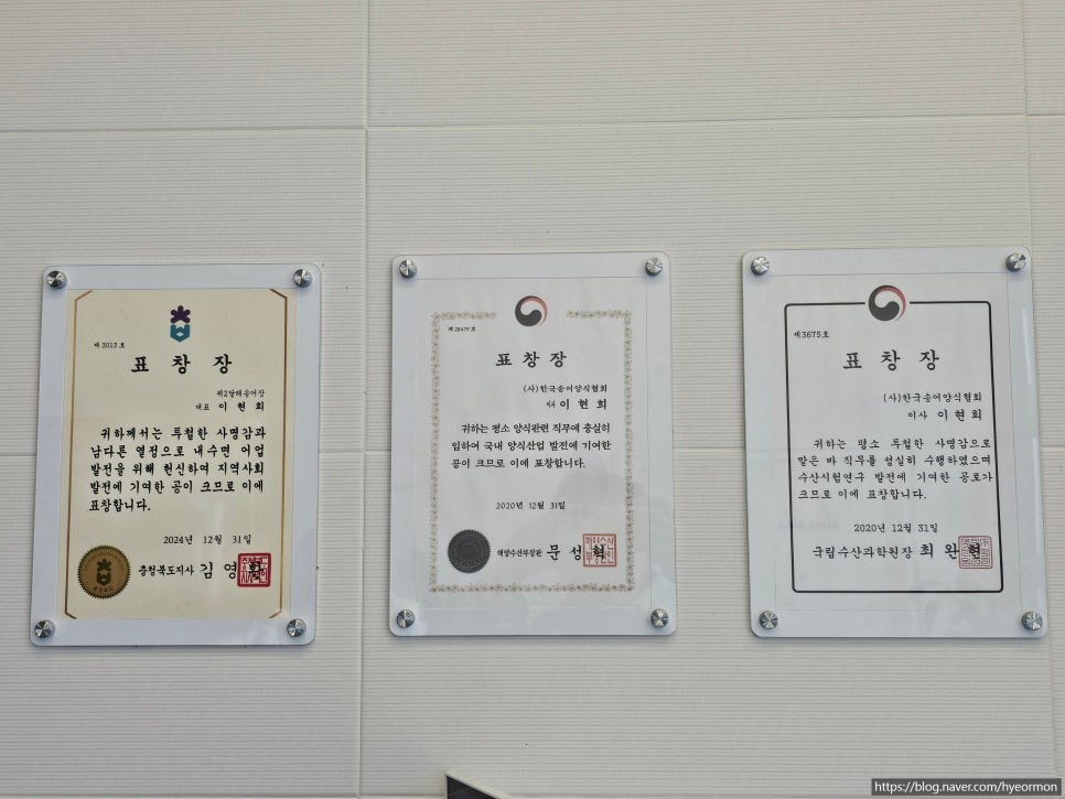 달래송어 사진 4