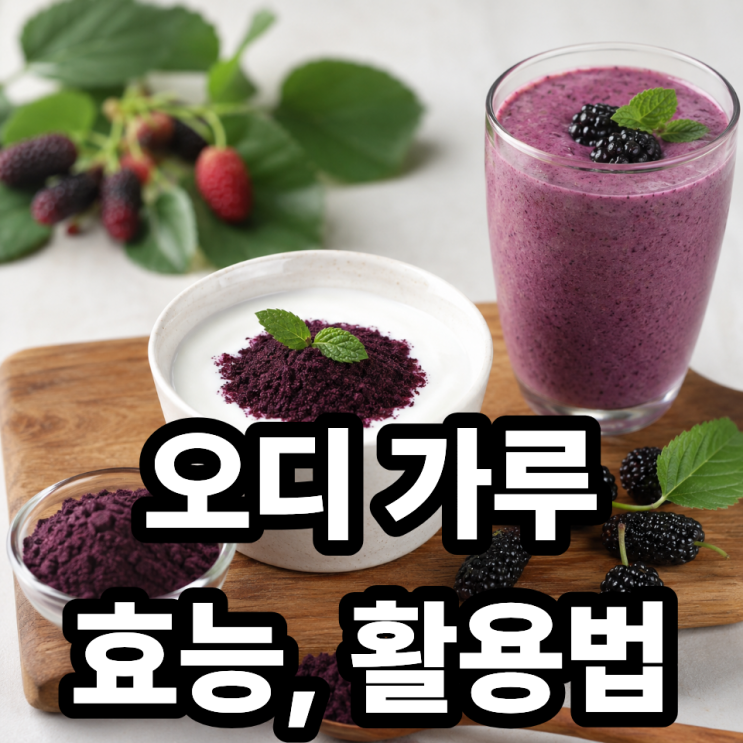  오디 가루 효능  요거트·스무디 활용법까지 한 번에 정리