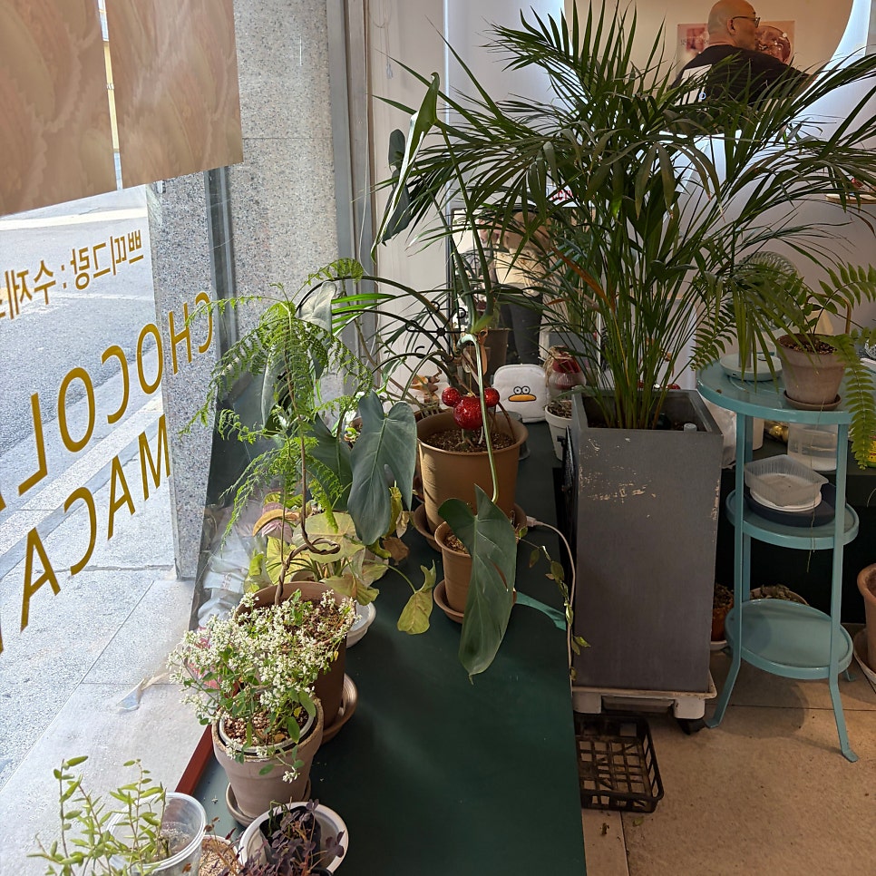 쁘띠그랑 사진 3