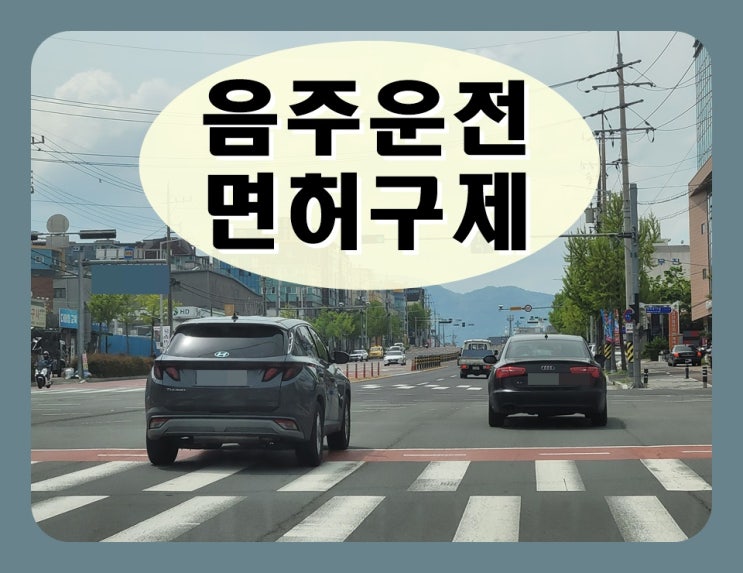  음주운전 화물차 기사 면허가 취소되는 사례를 통해