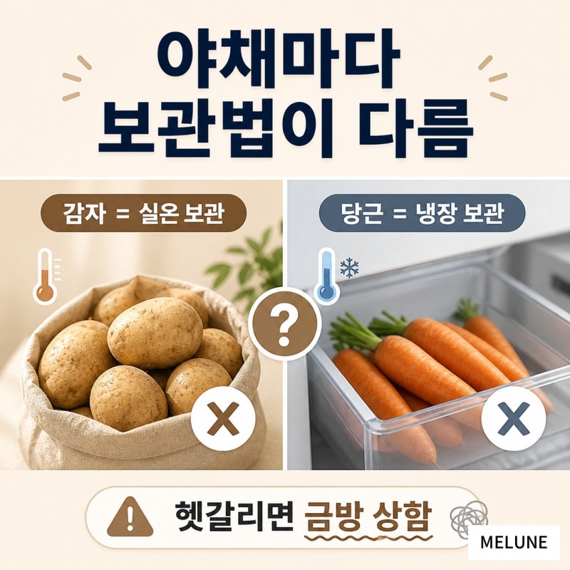 야채 보관법 총정리 | 페이퍼백·야채칸 정리함으로 신선도 오래 유지하기