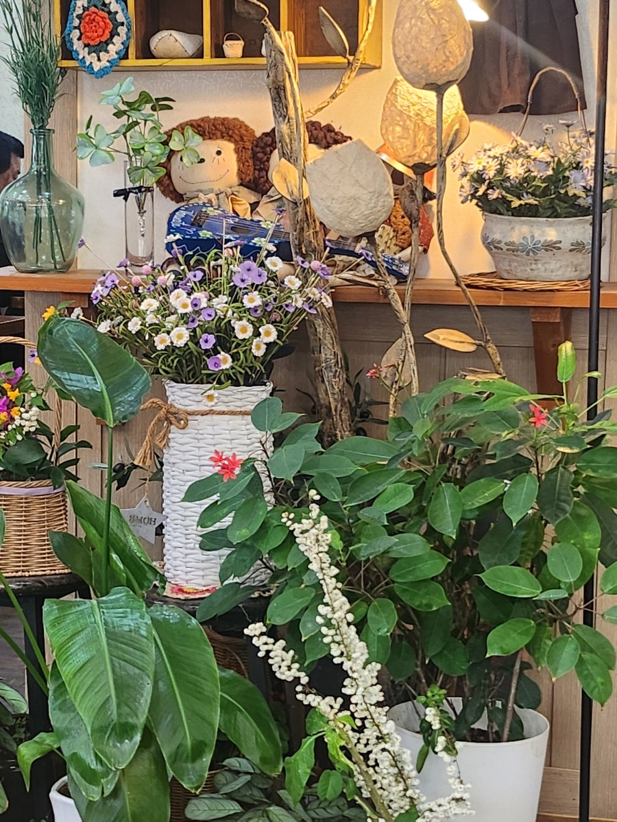 뜰안에 사진 4