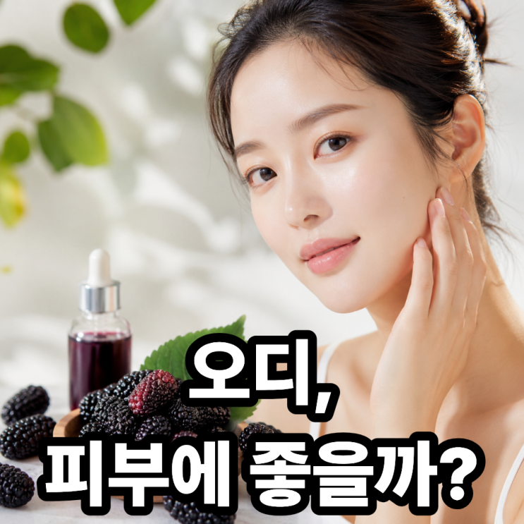  오디 피부 미용 효과, 먹는 화장품? 항산화부터 미백까지 정리