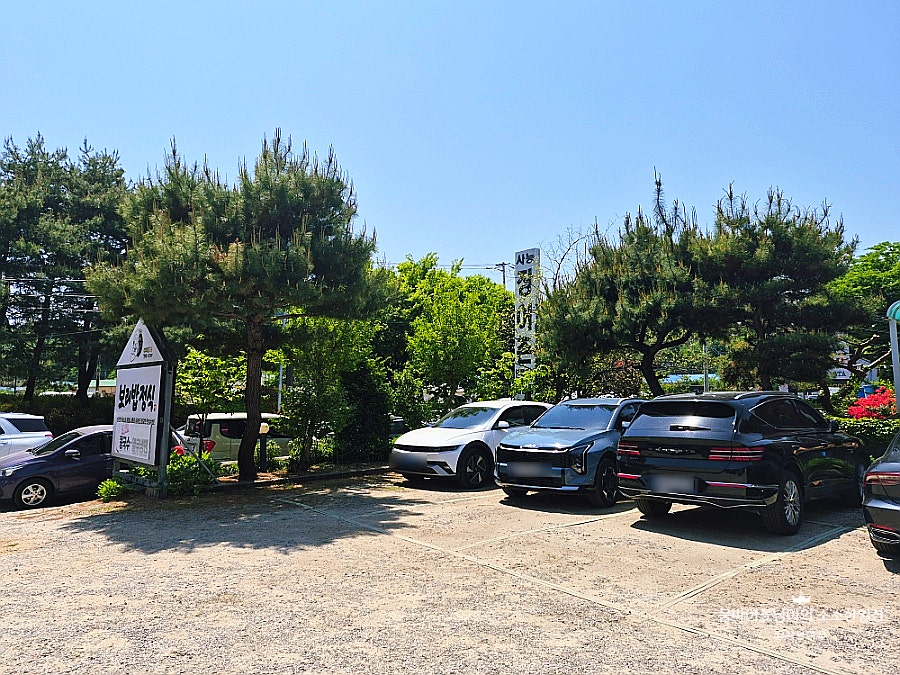 아라한 사진 5