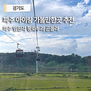 파주 임진각 아이랑 가볼만한곳 곤돌라 케이블카 파주평화누리공원