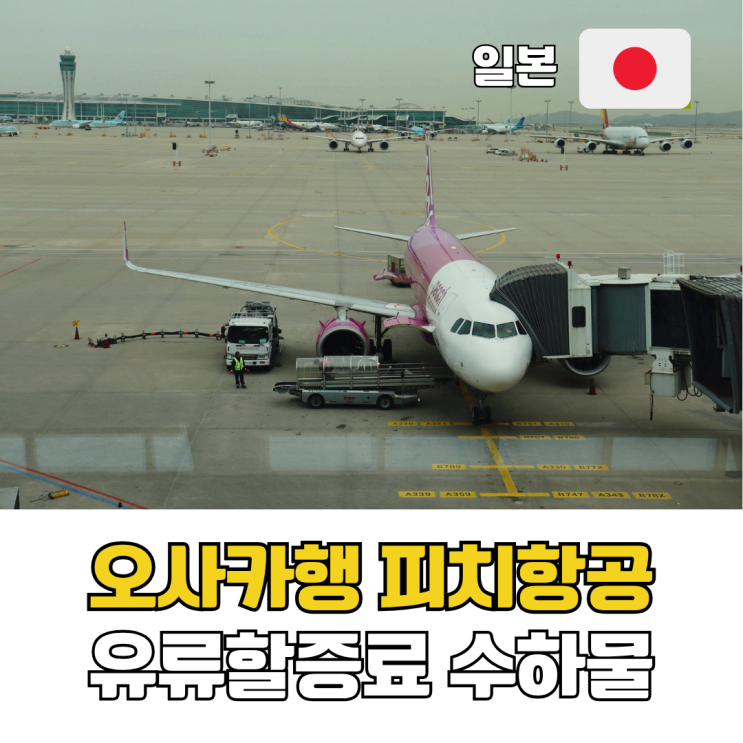  오사카 피치항공 유류할증료 0원? 위탁 수하물 규정부터 T2 리무진 버스 꿀팁까지 총정리