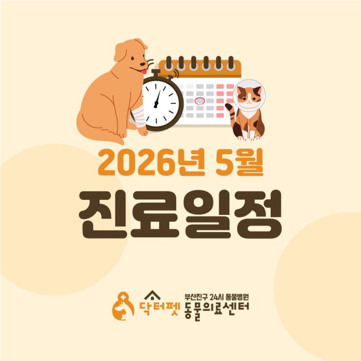  닥터펫동물의료센터 2026년 5월 진료진 일정 안내 개금역 2번 출구 부산 24시 동물병원
