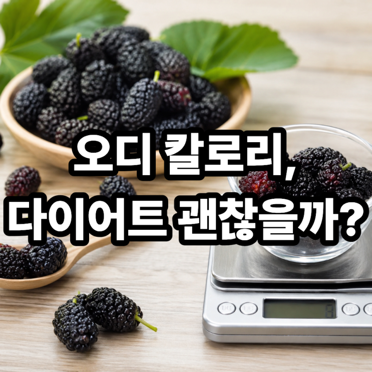  오디 칼로리와 영양성분 총정리, 다이어트에 괜찮을까?