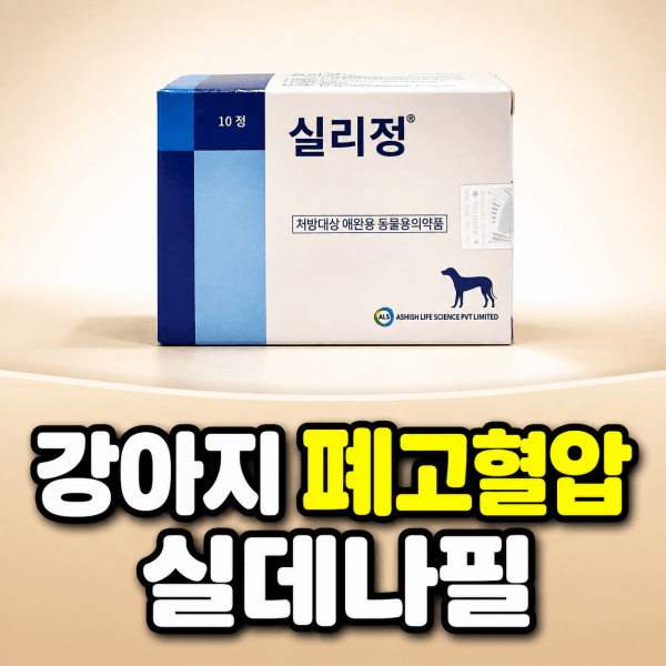 강아지 폐동맥 고혈압 심부전 치료제 실리정 실데나필 [북광주동물약국/정약국]