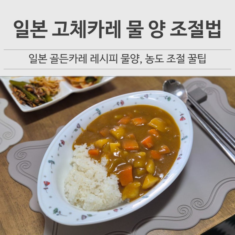 일본 고체카레 물 양 에스비 골든카레 레시피 농도조절 방법
