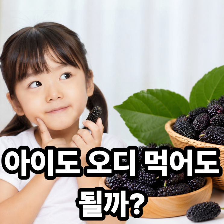  오디 어린이 섭취 가능할까? 안전성부터 주의사항까지 정리