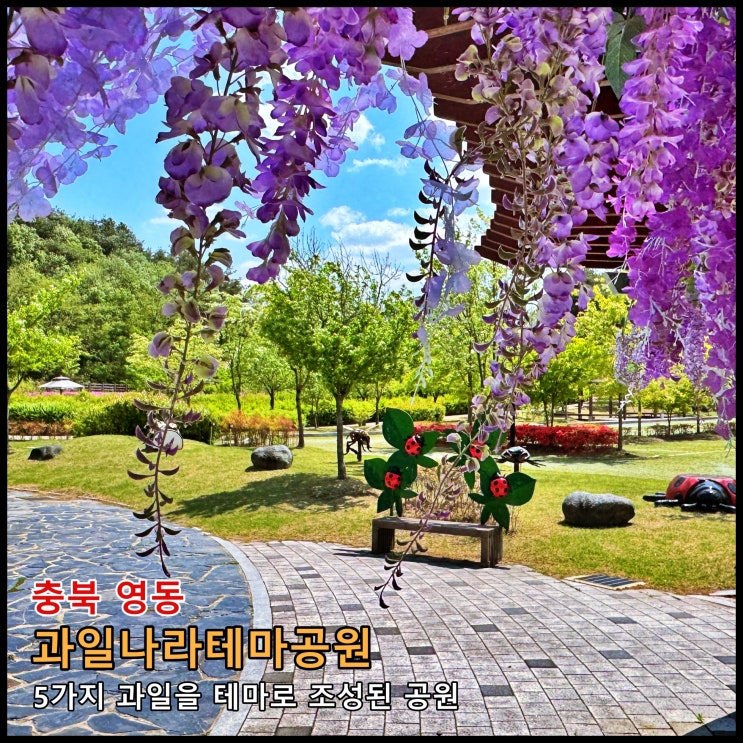  [영동] 영동에서 생산되는 5가지 과일을 테마로 조성된 공원 '과일나라 테마공원'