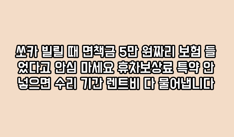 쏘카 빌릴 때 면책금 5만 원짜리 보험 들었다고 안심 마세요 휴차보상료 특약 안 넣으면 수리....