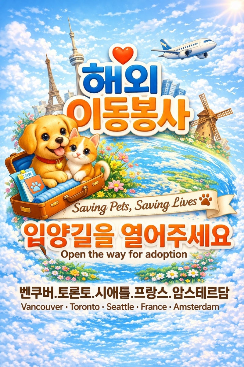 해외 강아지봉사 강아지해외입양 봉사 대구민블리
