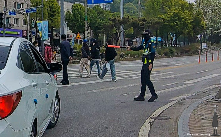  우회전 일시정지(우회전 집중단속)