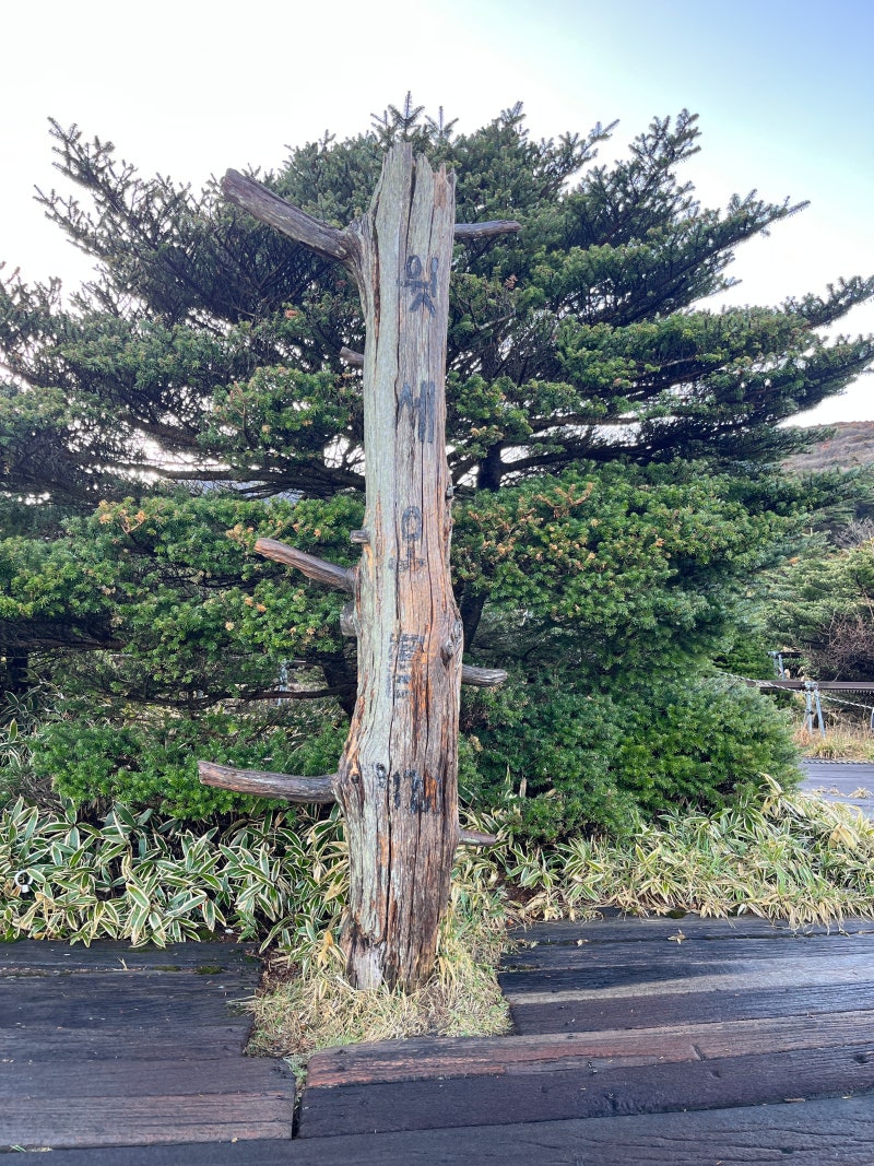 제주 한라산국립공원 영실코스 초보 등산러 후기