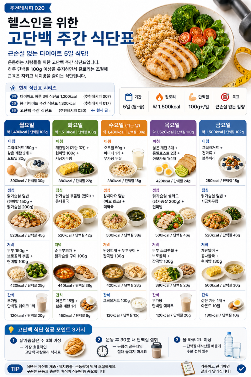 헬스인을 위한 고단백 주간 식단표