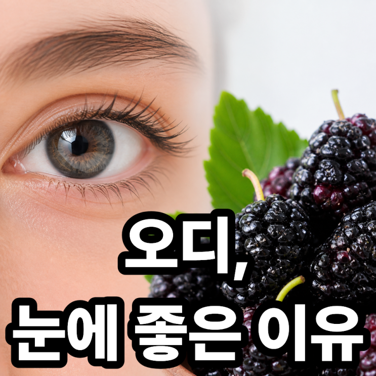  오디가 눈 건강에 좋은 이유, 시력 지키는 자연 식품 
