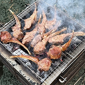 캠핑 밀키트 추천 BEST 7 | 코스트코 양갈비부터 홍게 오뎅탕, 티라미수 디저트까지