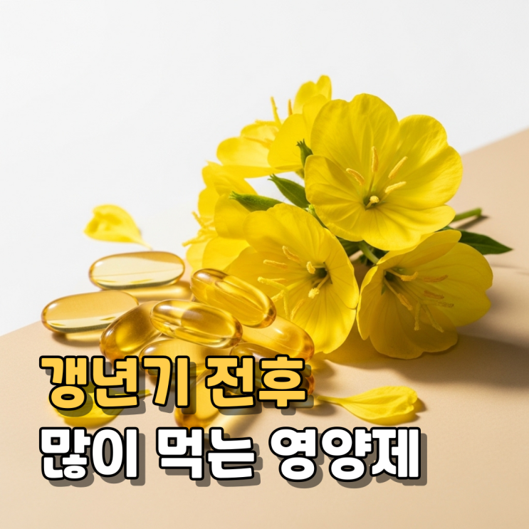  감마리놀렌산 효능 부작용 섭취방법 총정리 | 혈행·피부·여성 건강까지 한 번에