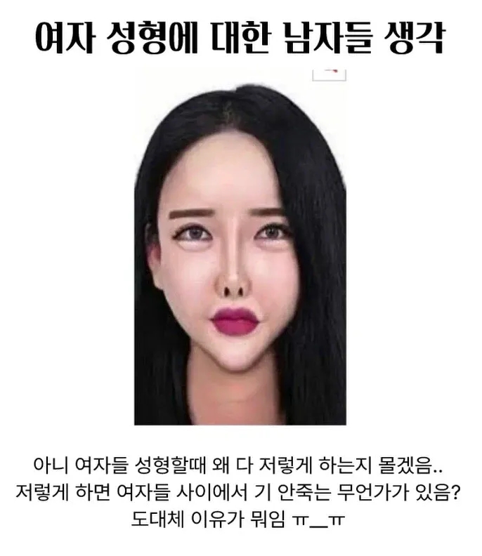  남자들은 은근 이해안된다는 여자 성형