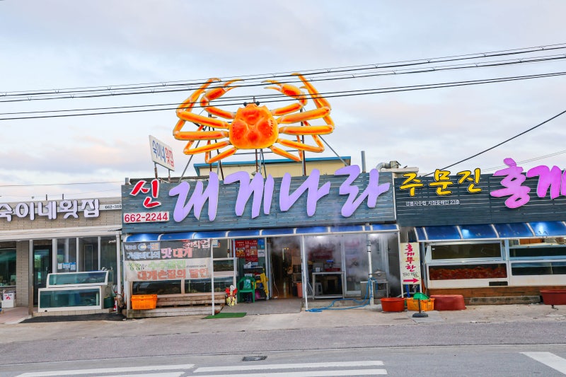 주문진 대게 한 상이 궁금하다면, 강릉 현지인 맛집 신대게나라