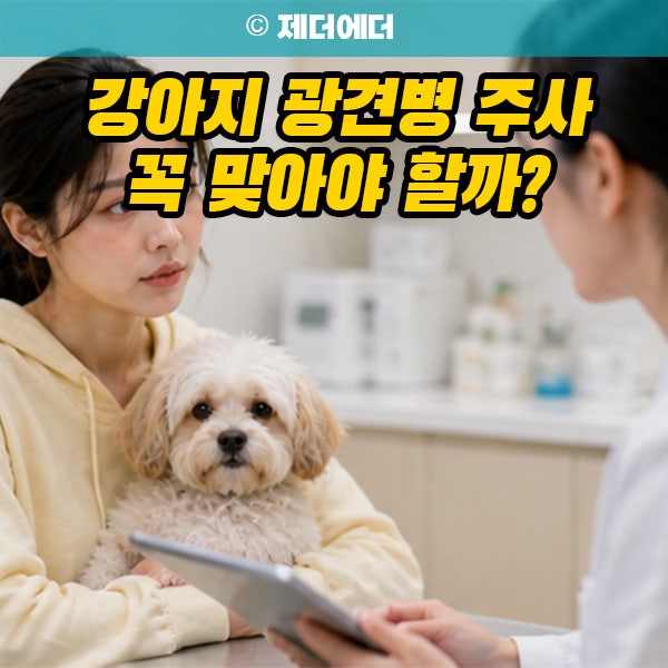 강아지 광견병 주사 꼭 맞아야 할까? 접종 주기 비용 부작용